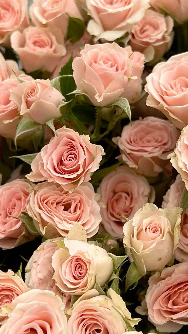 Celestial Whimsy: Starlit Flora Mélange